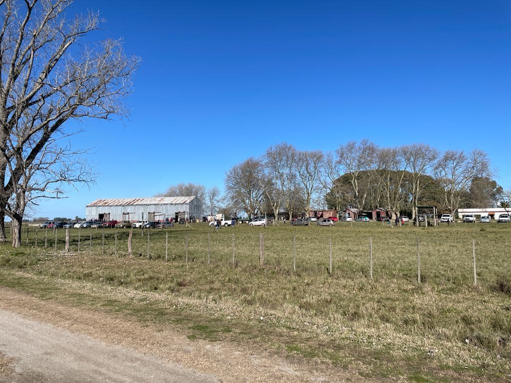 Lotes en venta — foto 11