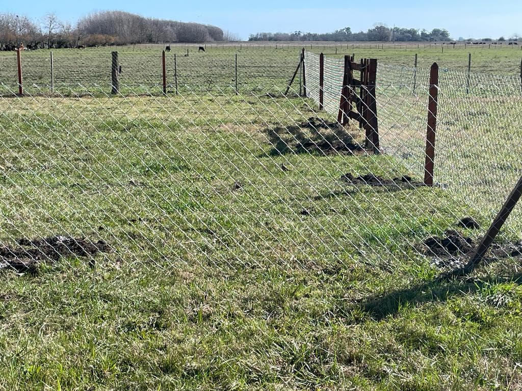 Lotes en venta — foto 13
