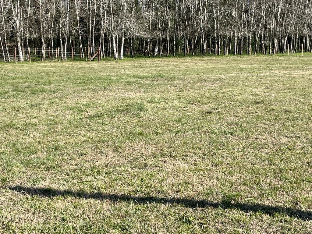 Lotes en venta — foto 15
