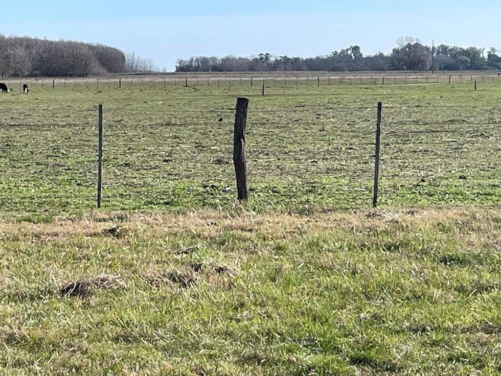 Lotes en venta — foto 18