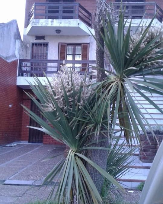 Duplex en venta — foto 10
