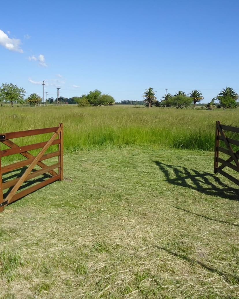 Lotes en venta